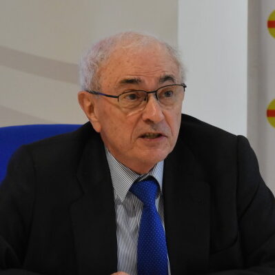 D. José Manuel Otero Novas 
